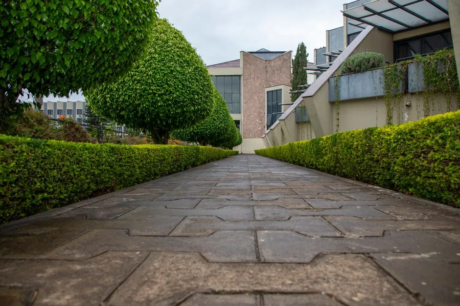 Jardin aménagé paysagiste
